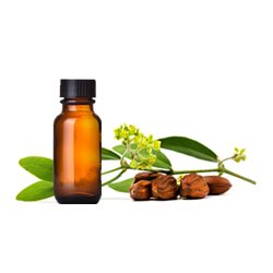 Goldstar Jojoba Oil