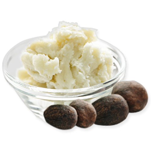 Repair Your Skin and Boost Collagen with Goldstar Raw Shea Butter