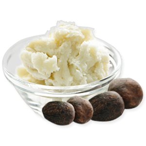 Repair Your Skin and Boost Collagen with Goldstar Raw Shea Butter