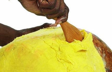 Buy African Raw Shea Butter Bulk 25lb — usbeautybazaar
